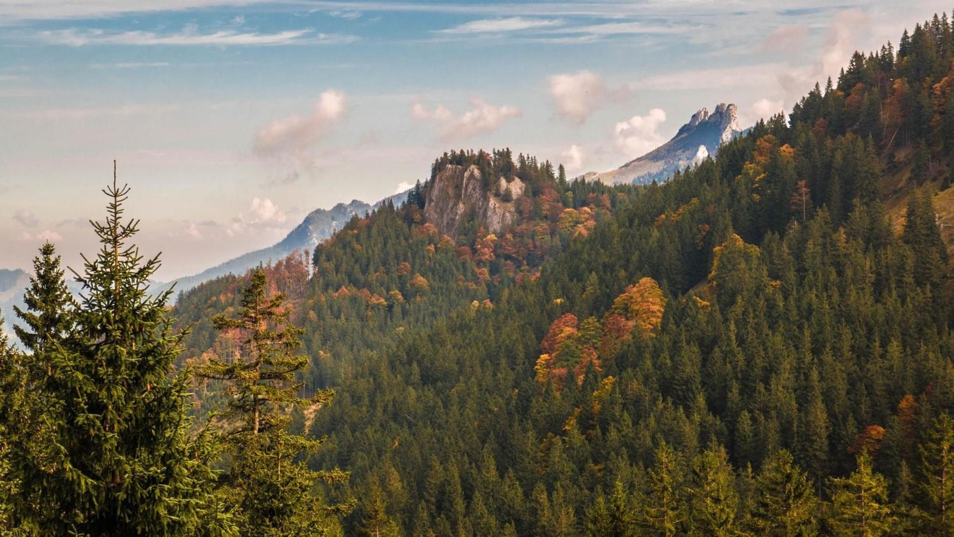 Bergzeit Lägenhet Aschau im Chiemgau Exteriör bild