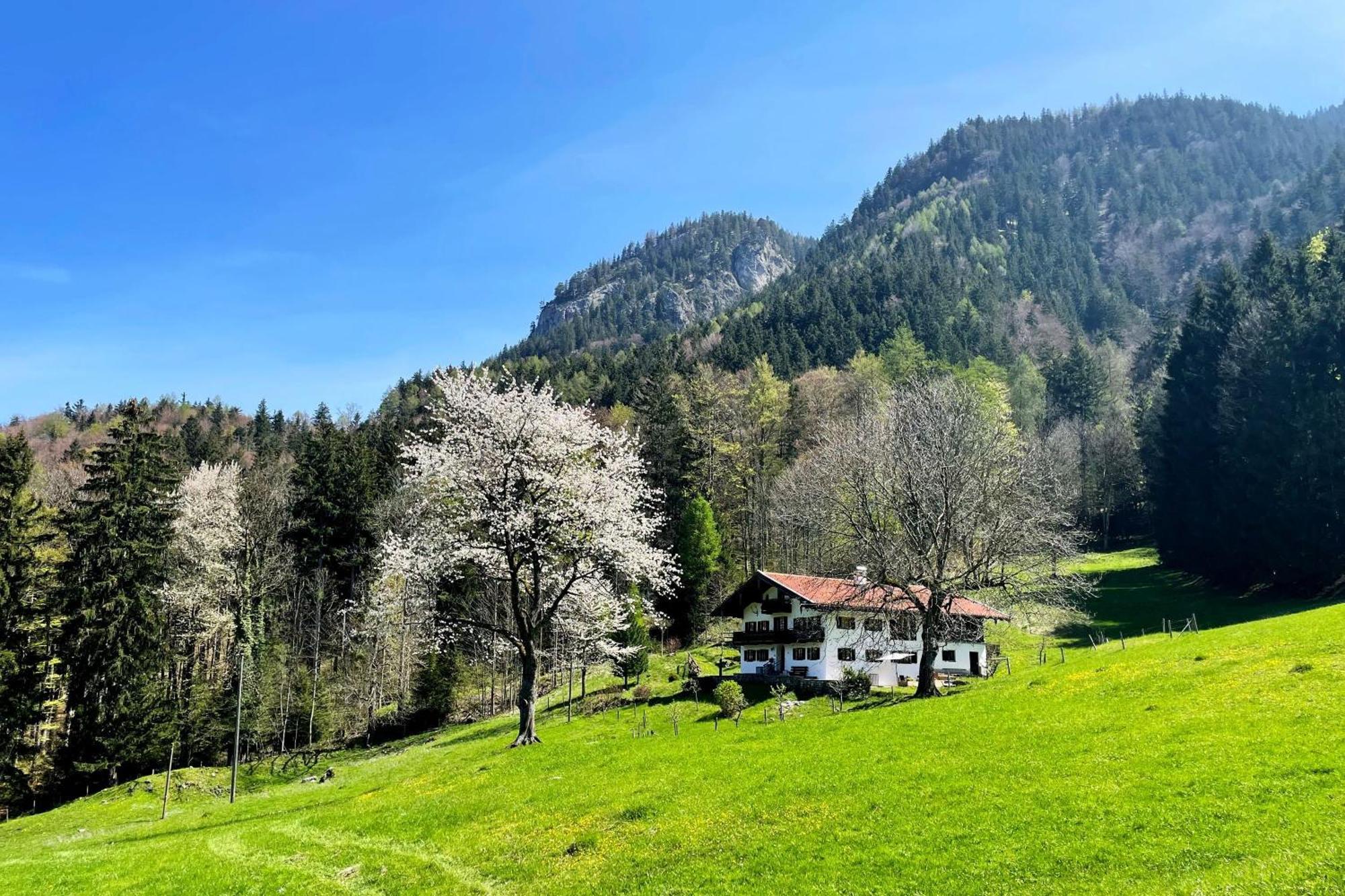 Bergzeit Lägenhet Aschau im Chiemgau Exteriör bild